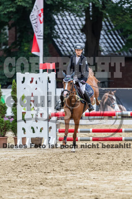 Goldene Schärpe 2021 - Ponys
