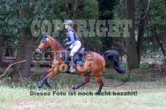 Late-Entry Vielseitigkeit Hamminkeln/Wesel (01.+02.08.2020)