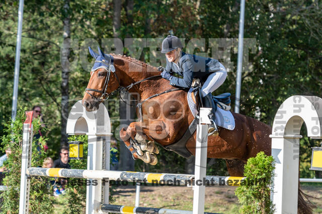 RFV Dinslaken-Hiesfeld (Herbstturnier)