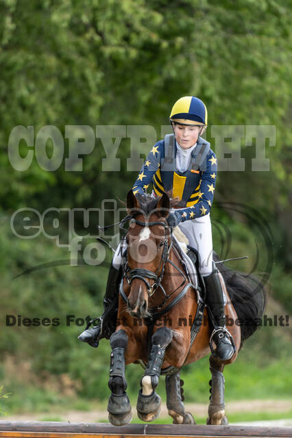 Late-Entry-Vielseitigkeit Langenfeld (06.+07.07.2020)