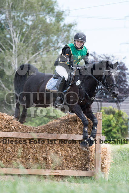 Vielseitigkeitsturnier ZRuFV von Lützow Hamminkeln