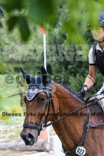 Late-Entry-Vielseitigkeit Langenfeld (11.+13./14.06.2020)