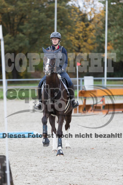 IGV Lehrgang der Sieger der Cups mit Frank Ostholt