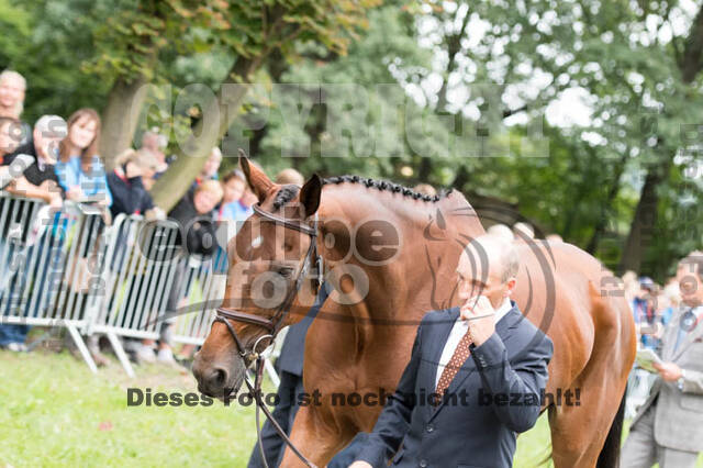 FEI European Championship Eventing 2017