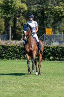 Kronenberg - De Peelbergen (August 2020)