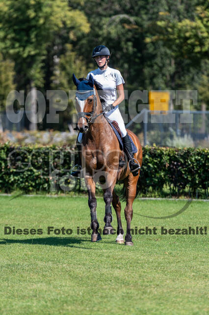 Kronenberg - De Peelbergen (August 2020)