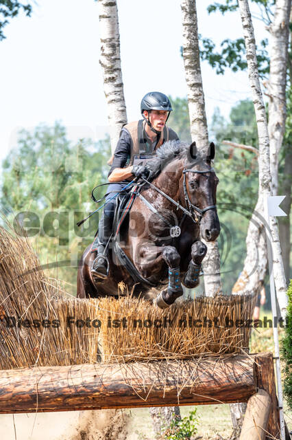 De Peelbergen (August 2020)