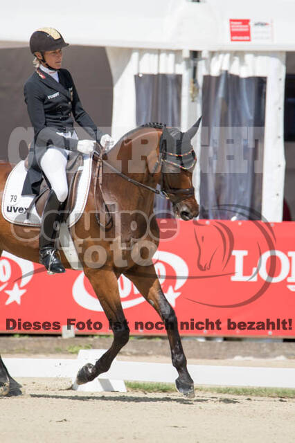 FEI European Championship Eventing 2017