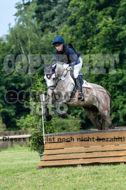 Goldene Schärpe 2021 - Ponys