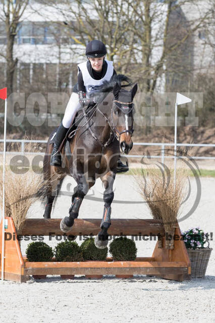 Eventing Langenfeld 2018