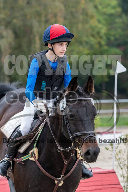 Goldene Schärpe 2020 - Pferde