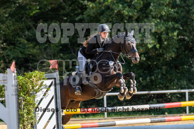 RFV Dinslaken-Hiesfeld (Herbstturnier)