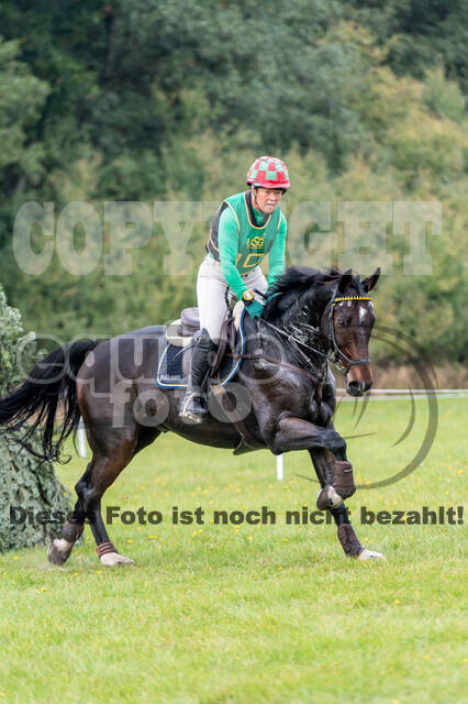 Deutsche Meisterschaft Vielseitigkeit (Luhmühlen)