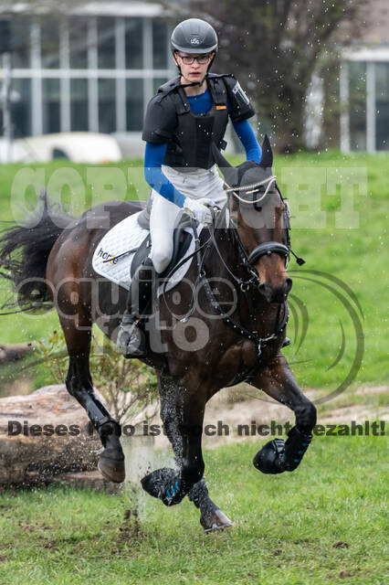 Goldene Schärpe 2020 - Pferde