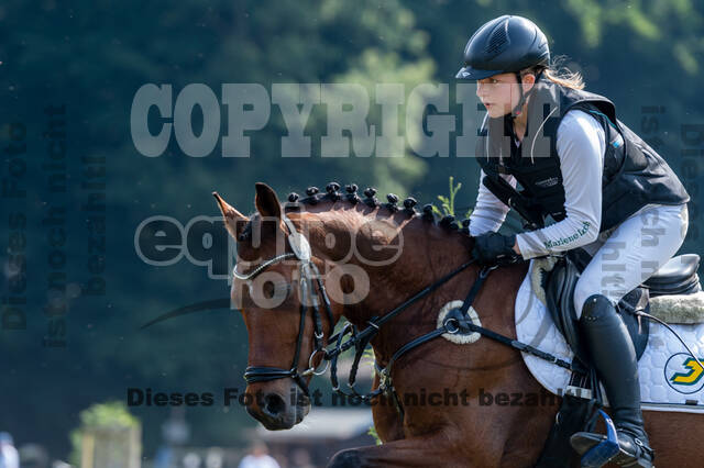 Goldene Schärpe 2021 - Ponys