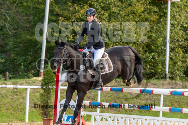 RFV Dinslaken-Hiesfeld (Herbstturnier)