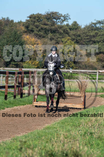 Vielseitigkeitslehrgang mit Jürg Kurbel (9.+10.11.2019)