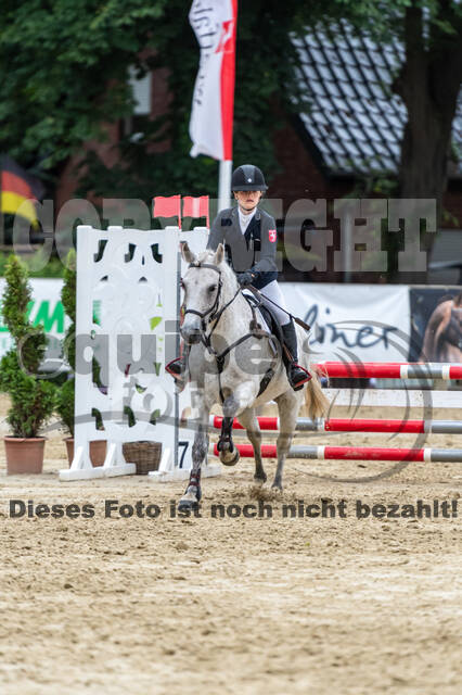 Goldene Schärpe 2021 - Ponys