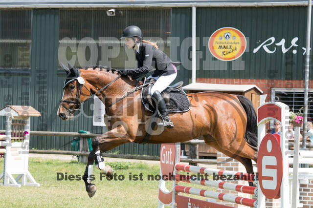 Vielseitigkeitsturnier ZRuFV von Lützow Hamminkeln