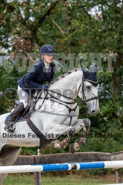 Vielseitigkeit RSV Wesel Obrighoven (26.+27.09.2020)