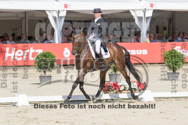 FEI European Championship Eventing 2017