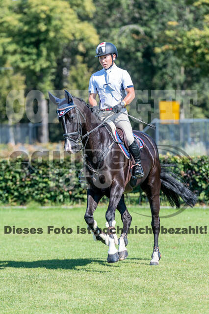 Kronenberg - De Peelbergen (August 2020)