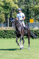 Kronenberg - De Peelbergen (August 2020)