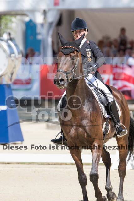 FEI European Championship Eventing 2017