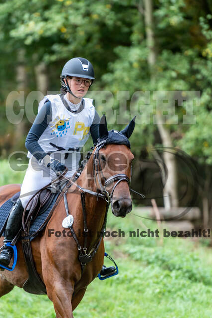 Vielseitigkeit RSV Wesel Obrighoven (26.+27.09.2020)