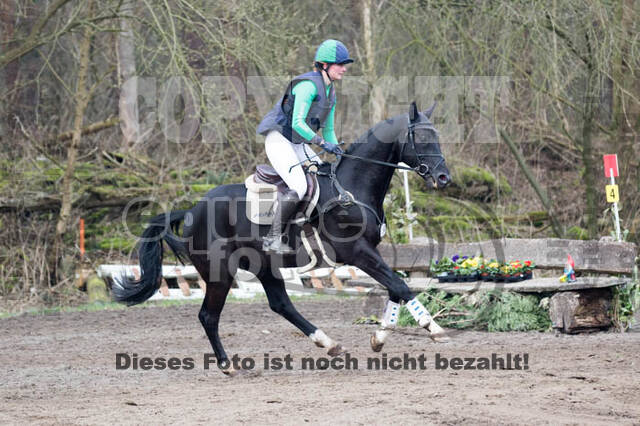 Jungpferdetag Hamminkeln