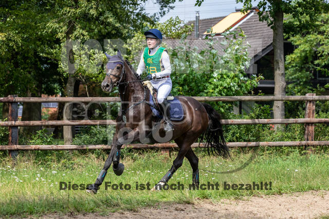 Late-Entry-Vielseitigkeit Gahlen (18.07.2020)