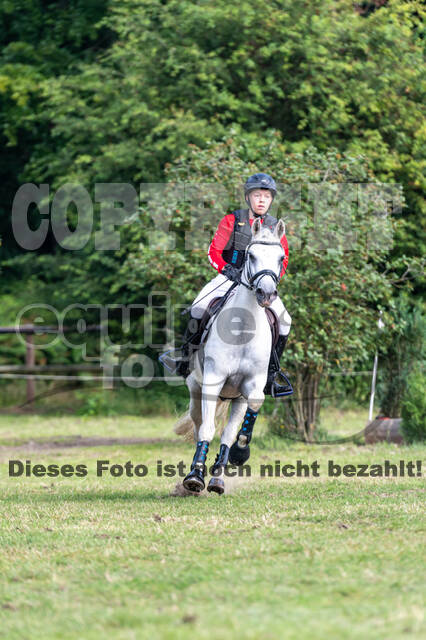 Goldene Schärpe 2021 - Ponys