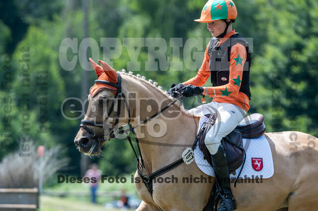 Goldene Schärpe 2021 - Ponys