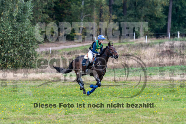 Deutsche Meisterschaft Vielseitigkeit (Luhmühlen)