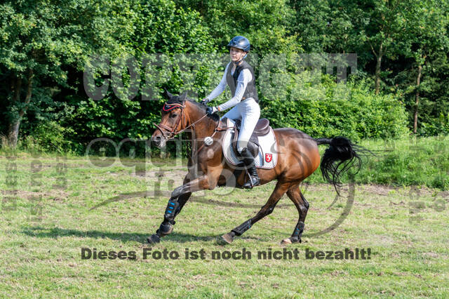 Goldene Schärpe 2021 - Ponys