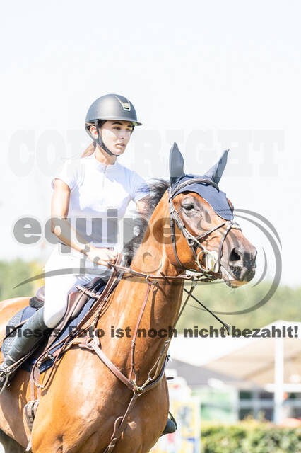 Kronenberg - De Peelbergen (August 2020)