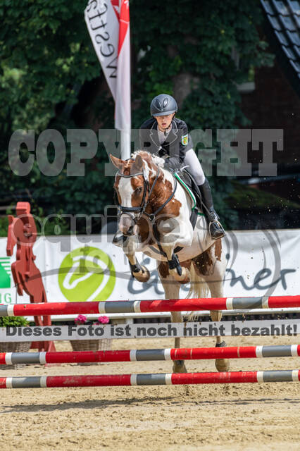 Goldene Schärpe 2021 - Ponys