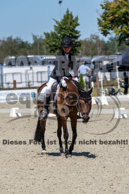 Kronenberg - De Peelbergen (August 2020)