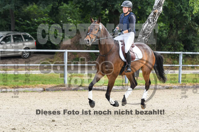 Late-Entry-Vielseitigkeit Langenfeld (11.+13./14.06.2020)