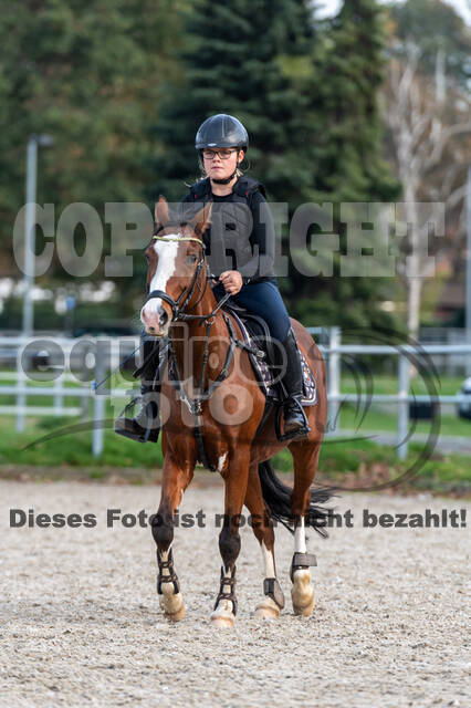 IGV Lehrgang der Sieger der Cups mit Frank Ostholt