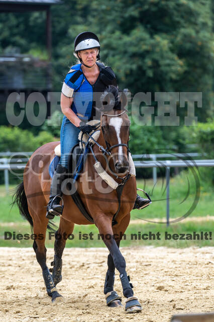 Hunter Geländetraining 10.07.2021 (Sonsbeck)