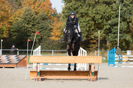 IGV Lehrgang der Sieger der Cups mit Frank Ostholt