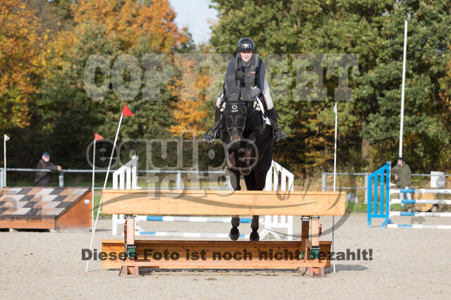 IGV Lehrgang der Sieger der Cups mit Frank Ostholt