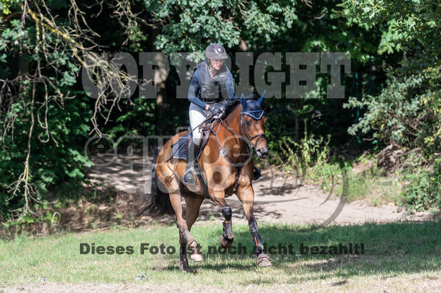 Late-Entry-Vielseitigkeit Langenfeld (11.+13./14.06.2020)