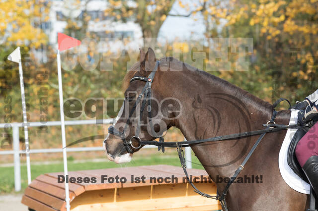 IGV Lehrgang der Sieger der Cups mit Frank Ostholt