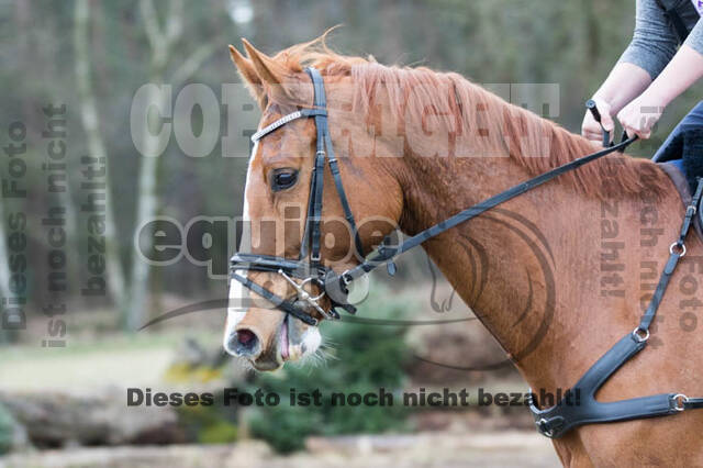 Geländetraining RSV St. Hubertus Wesel Obrighoven
