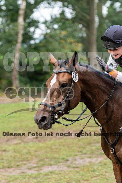 De Peelbergen (August 2020)