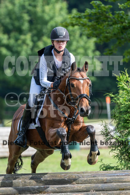 Goldene Schärpe 2021 - Ponys