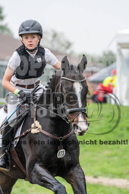 Goldene Schärpe 2020 - Pferde