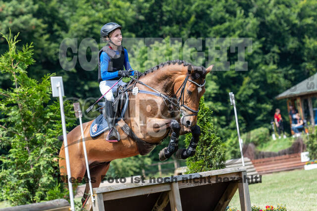 Goldene Schärpe 2021 - Ponys